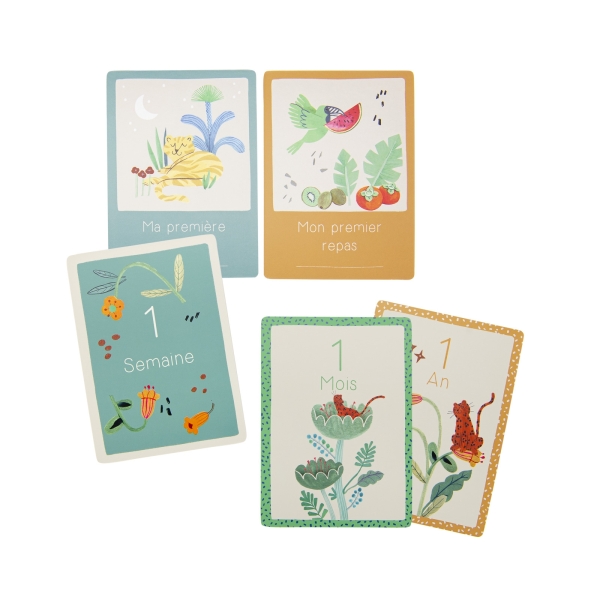 Cartes Mes 12 premiers mois La Forêt Mawa | Moulin Roty