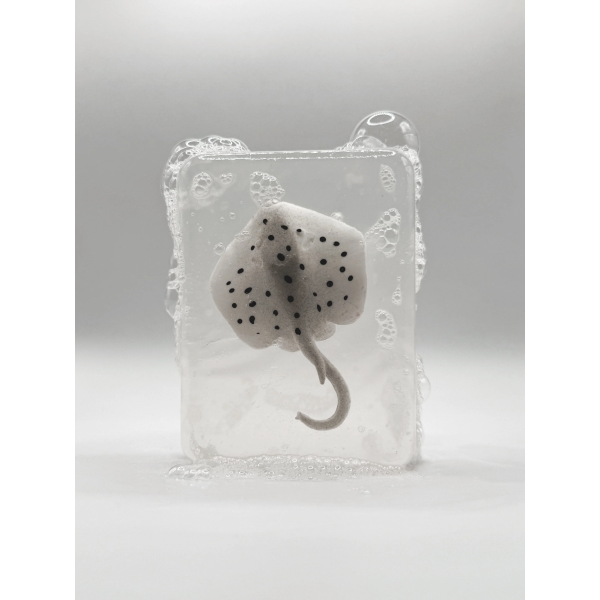 Savon Raie Blanche Ludi Soap | JOLI GAMIN