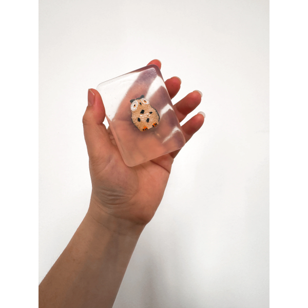 Savon Hibou avec figurine Ludi Soap | JOLI GAMIN
